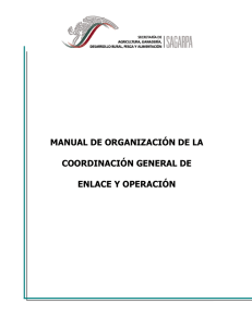 manual de organización de la coordinación general de