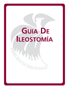 Ileostomía—Una Guía - United Ostomy Associations of America Inc