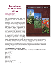 Leguminosas de Nuevo León, México