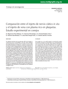 Comparación entre el injerto de nervio ciático in
