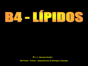 BQ - 04 - LÍPIDOS