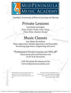 Private Lessons Music Classes