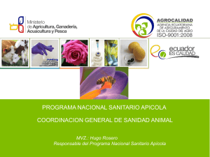 COORDINACION GENERAL DE SANIDAD ANIMAL PROGRAMA
