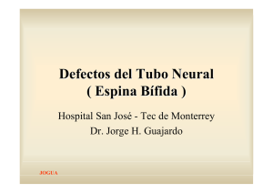 Defectos del Tubo Neural ( Espina Bifida )