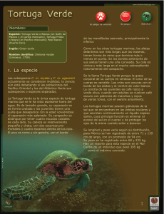 Nombres - Biodiversidad Mexicana