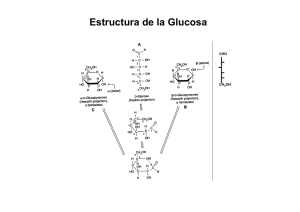 2 Glucolisis KINESIOLOGÍA - U