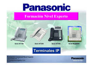 Terminales IP