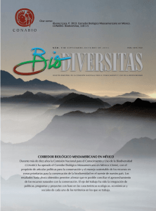corredor biológico mesoamericano en méxico