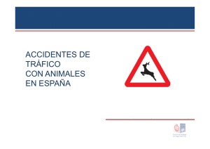 accidentes de tráfico con animales en españa