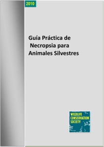 Guía Práctica de Necropsia para Animales silvestres