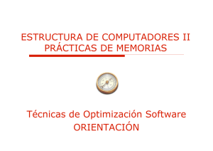 Técnicas de Optimización Software