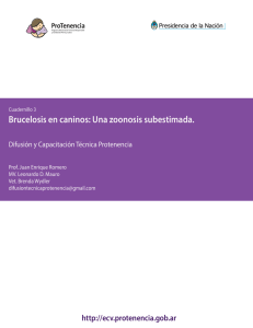 Brucelosis Canina-Protenencia - Colegio Medico Veterinario