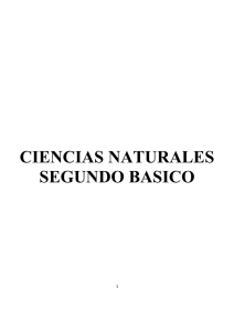 Ciencias Naturales 2Basico