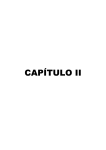 004.67-R934b-CAPITULO II