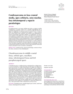 Condrosarcoma en fosa craneal media, ápex