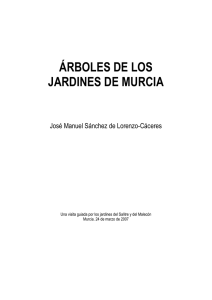 ÁRBOLES DE LOS JARDINES DE MURCIA