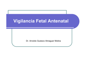 Vigilancia Fetal Antenatal - Respyn :: Revista Salud Pública y