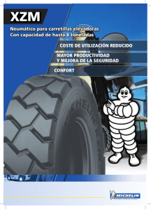 descargar el prospecto - Michelin Earthmover Website