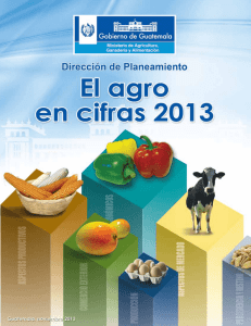 El Agro en Cifras 2013 - Ministerio de Agricultura Ganadería y