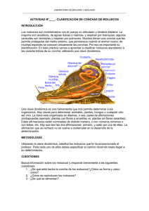 clasificación de conchas de moluscos