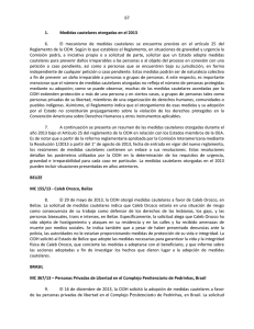 Informe Anual 2013 - Cap. II.C.1. Medidas cautelares