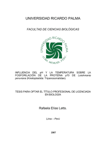 Descargar en PDF - Universidad Ricardo Palma