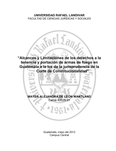 CAPÍTULO I: Derechos Fundamentales, Tenencia y Portación de