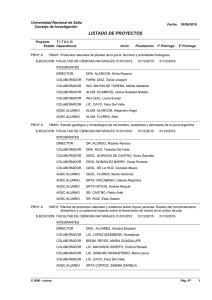 Listado de Proyectos en Ejecución actualmente