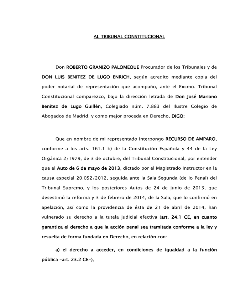 Recurso De Amparo Al Tribunal Constitucional