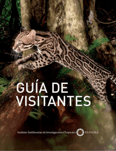 Guía de Visitantes - Smithsonian Tropical Research Institute