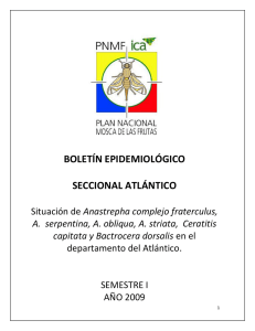Boletín Atlántico primer semestre 2009