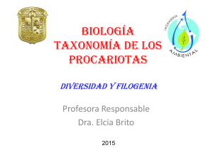 Taxonomía de los procariotas diversidad y filogenia