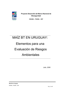 MAIZ BT EN EL URUGUAY: Elementos para una Evaluación de