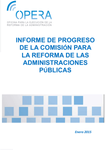 Informe anual de progreso. Diciembre 2014