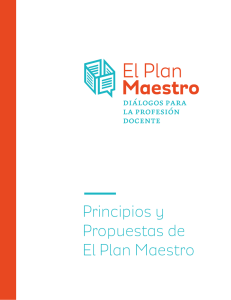 Principios y Propuestas de El Plan Maestro
