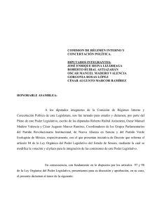 comision de régimen interno y concertación política. diputados