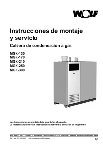 Manual de montaje y servicio caldera MGK