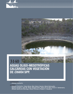 aguas oligo-mesotróficas calcáreas con vegetación de
