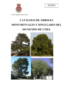 Catálogo Árboles Monumentales