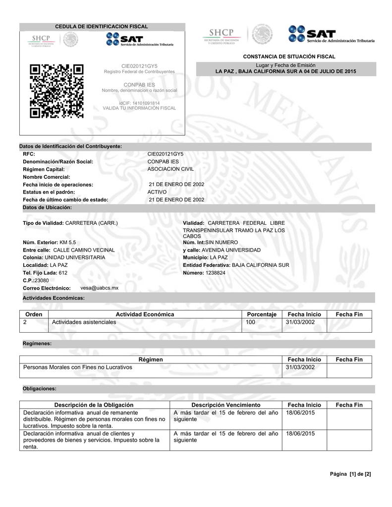 Constancia De Situación Fiscal Cedula De Identificación Fiscal Porn Sex Picture 1640