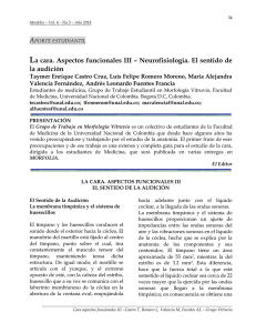 La cara. Aspectos funcionales III - Universidad Nacional de Colombia