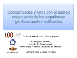 Presentación de PowerPoint - Academia Mexicana de Ciencias