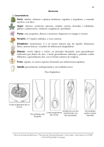 Familia: Moraceae - Facultad de Ciencias Exactas y Naturales y