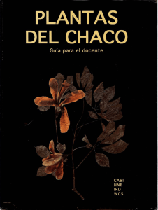 Plantas del Chaco - Horizon documentation-IRD