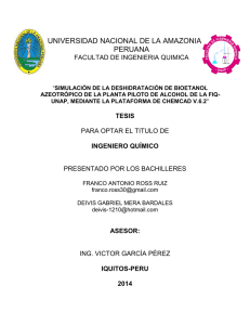Tesis completa - Universidad Nacional de la Amazonía Peruana
