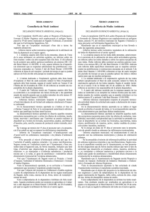 Declaració Impacte Ambiental expedient 184/95 [6133]