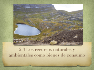 2.3 Los Recursos Naturales y ambientales como bienes de consumo