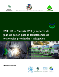 ENT RD – Síntesis ENT y reporte de plan de acción para la