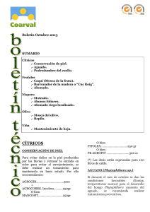 Boletín Técnico - octubre 2013