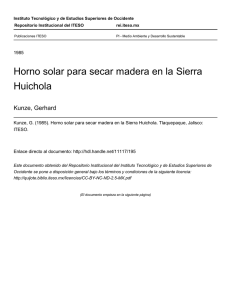 Horno solar para secar madera en la Sierra Huichola - ReI